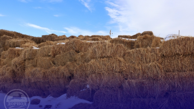 Цагаан-Овоо суманд 328,966 толгой мал өвөлжинө